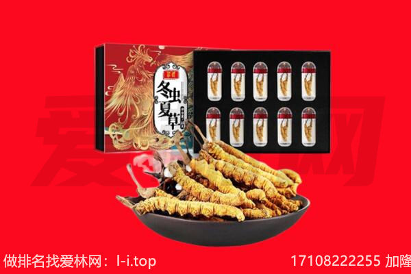七台河市回收虫草.jpg