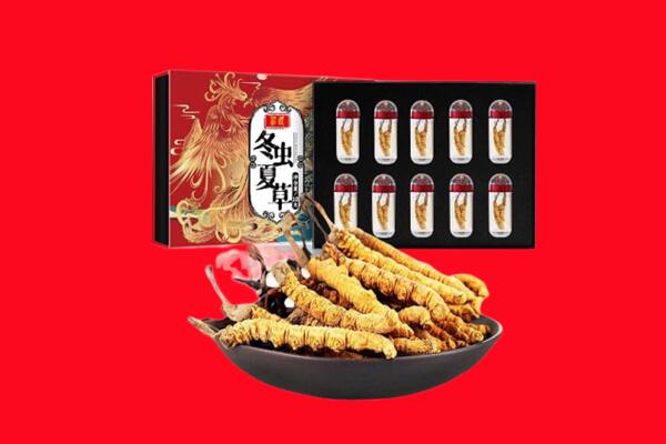 七台河市回收虫草.jpg